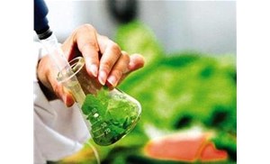 合肥食品檢測：重金屬元素中常見的元素有哪些？